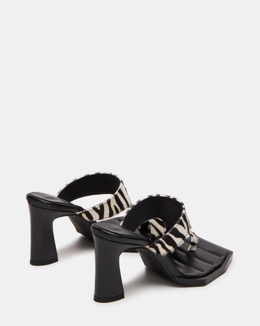 ALAMEDA ZEBRA - Image 5