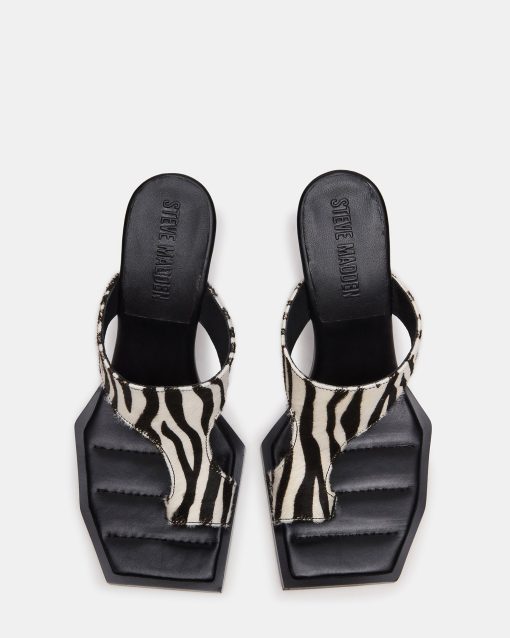 ALAMEDA ZEBRA - Image 4