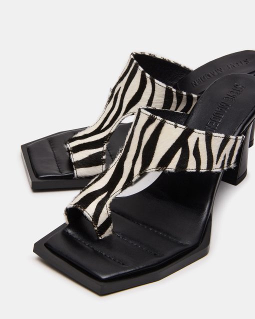 ALAMEDA ZEBRA - Image 3