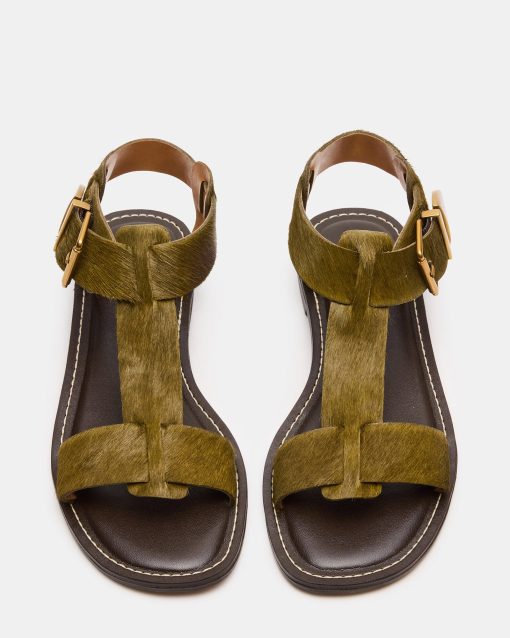 BRAZINN OLIVE - Image 4