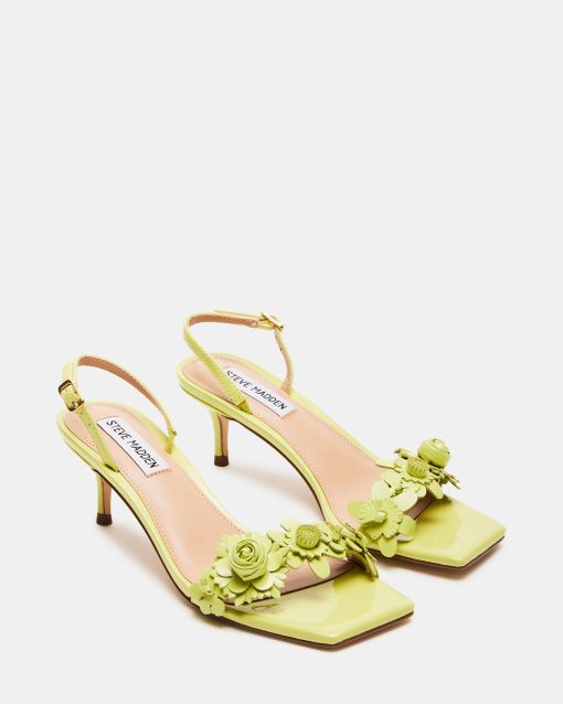 ROSALEA LIME PATENT - Image 3