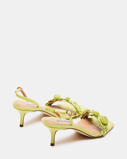 ROSALEA LIME PATENT - Image 6