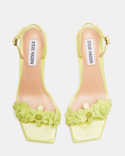 ROSALEA LIME PATENT - Image 5