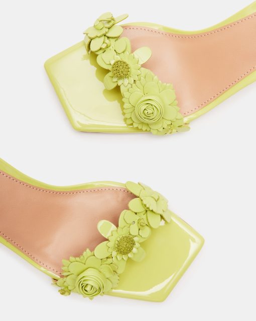 ROSALEA LIME PATENT - Image 4