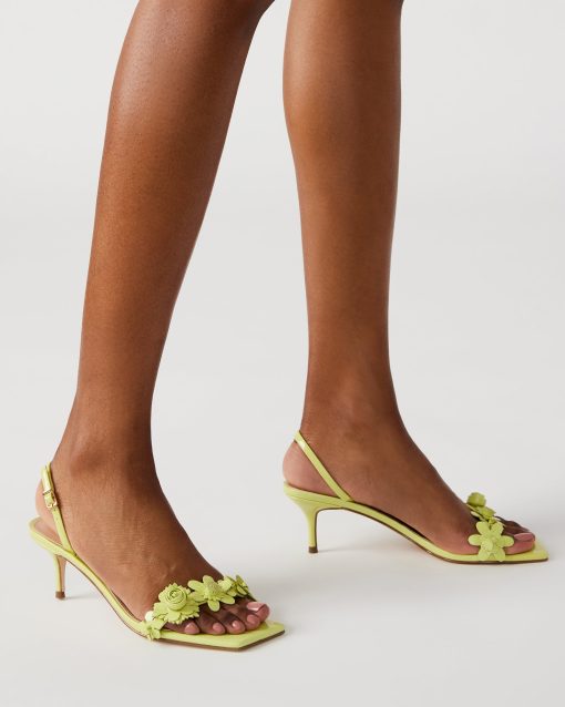 ROSALEA LIME PATENT - Image 2